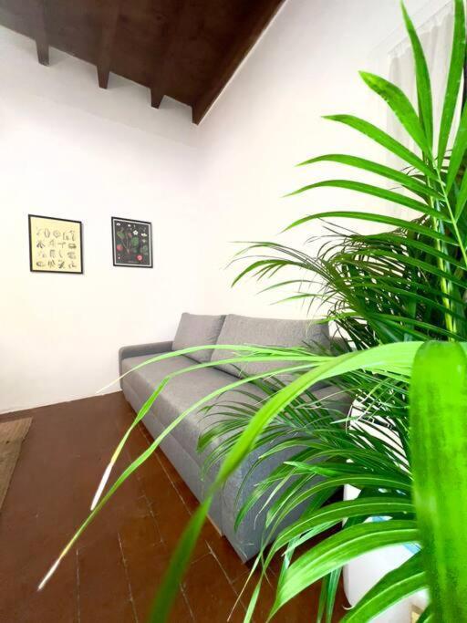 Casa Centro Firenze Wi Fi Aria Condizionata Netflix Appartement Buitenkant foto