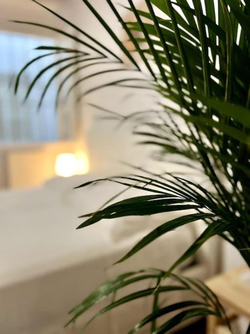 Casa Centro Firenze Wi Fi Aria Condizionata Netflix Appartement Buitenkant foto