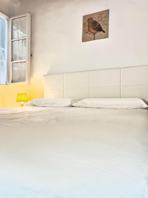 Casa Centro Firenze Wi Fi Aria Condizionata Netflix Appartement Buitenkant foto